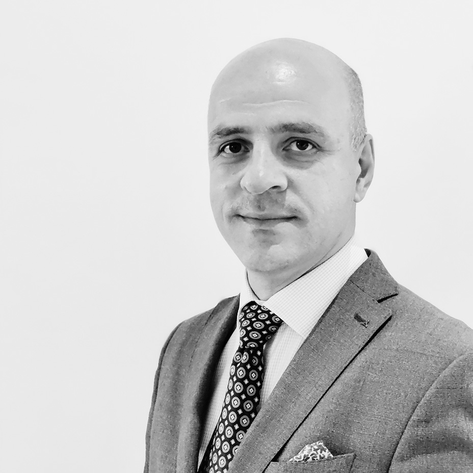 Levan Tsutsunava - Founder of LT Consulting